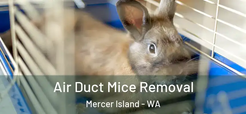  Air Duct Mice Removal Mercer Island - WA