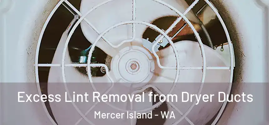  Excess Lint Removal from Dryer Ducts Mercer Island - WA