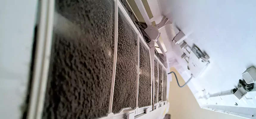 Preventive Air Duct Bacteria Removal in Mercer Island