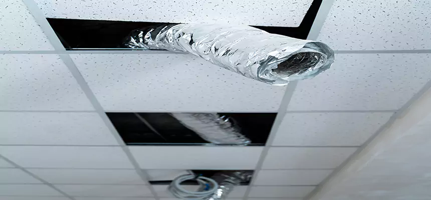 Affordable HVAC Sanitizing After Pest Removal in Mercer Island