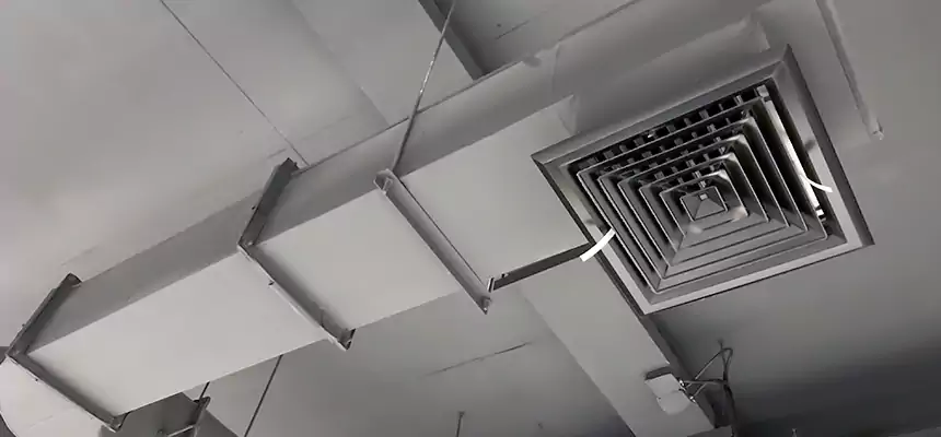 Our Pest Removal From Ducts Services in Mercer Island, WA