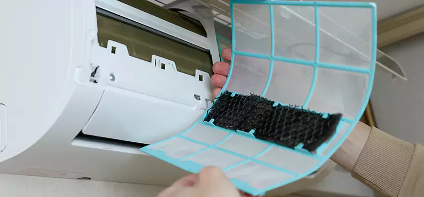 Gentle Ductwork Odor-Control Pet Dander Duct Cleaning in Mercer Island, WA