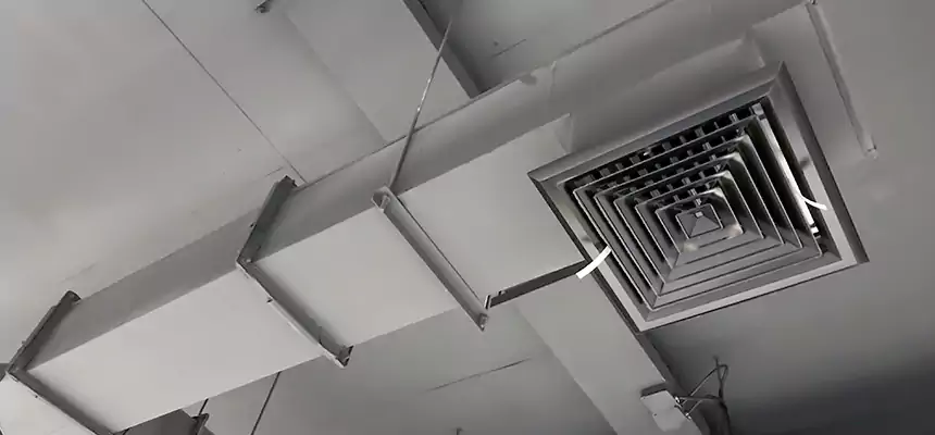 Our Rodent Droppings In Vents Services in Mercer Island, WA