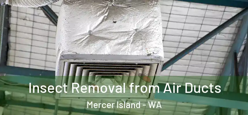  Insect Removal from Air Ducts Mercer Island - WA