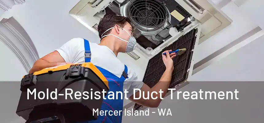  Mold-Resistant Duct Treatment Mercer Island - WA
