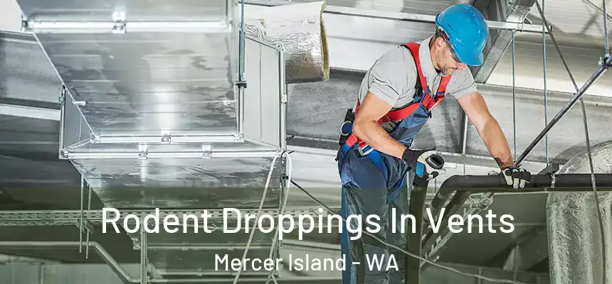 Rodent Droppings In Vents Mercer Island - WA