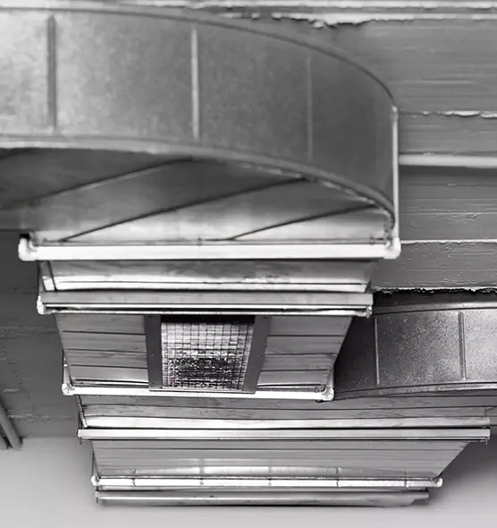 Professional Air Duct Pet Hair Removal in Mercer Island, WA