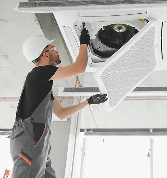 About Air Duct Rodent Removal in Mercer Island, WA