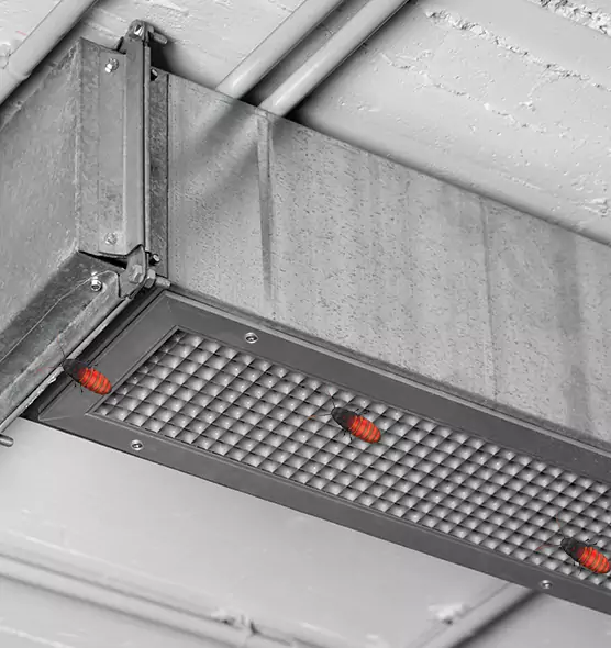 Affordable Insect Removal from Air Ducts in Mercer Island, WA