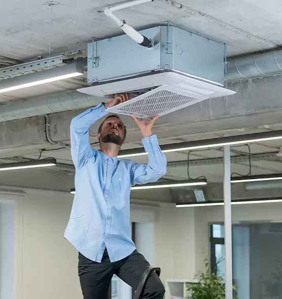 Advanced Rodent Droppings In Vents in Mercer Island, WA