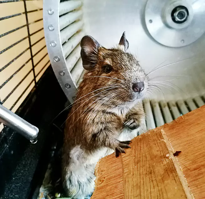 Why Homeowners & Businesses Trust Us Mercer Island, WA?