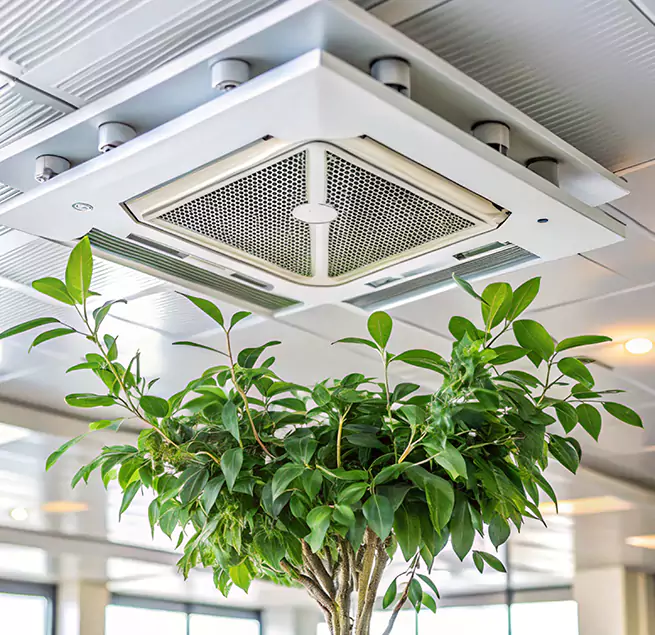 Why Homeowners & Businesses Trust Us in Mercer Island, WA?