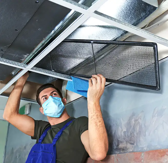 Why Homeowners & Businesses Trust Us in Mercer Island, WA?