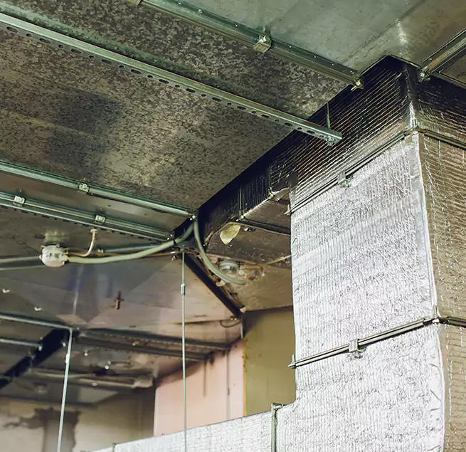 Why Homeowners & Businesses Trust Us in Mercer Island, WA?