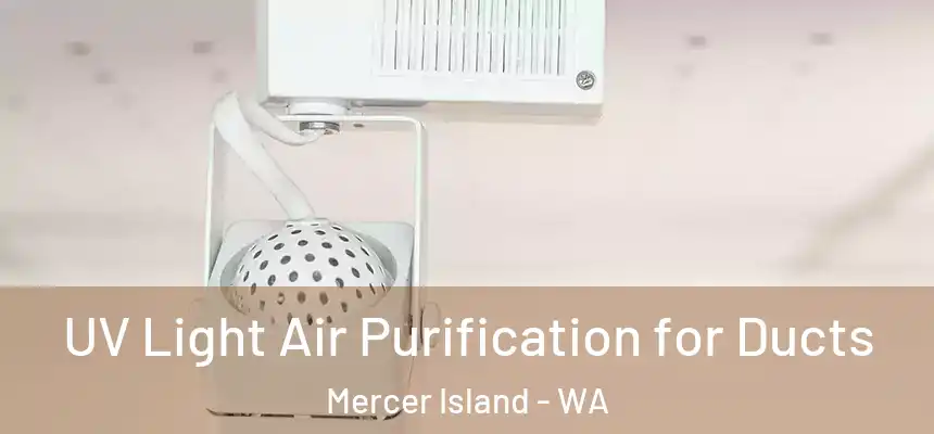  UV Light Air Purification for Ducts Mercer Island - WA